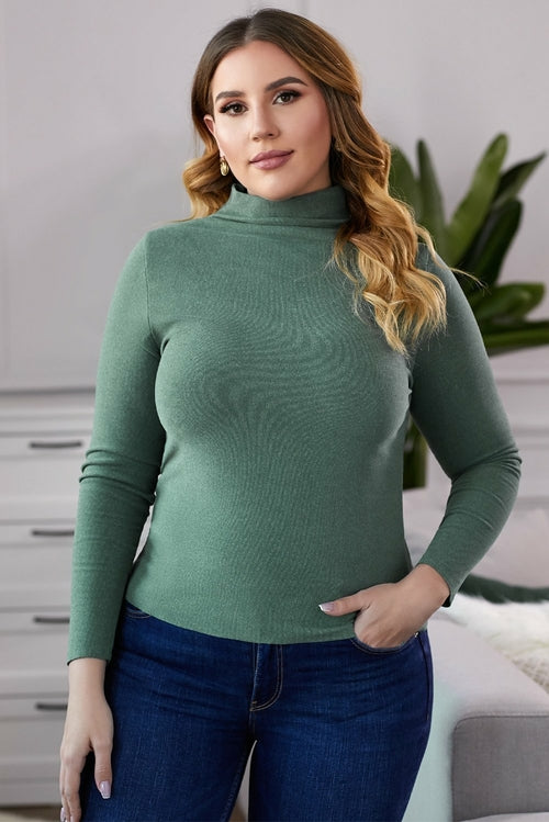 Plain Ribbed Turtleneck Top